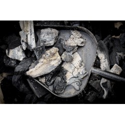 Big Green Egg Pelle à cendres pour Medium, Large, XL et 2XL - Image 2